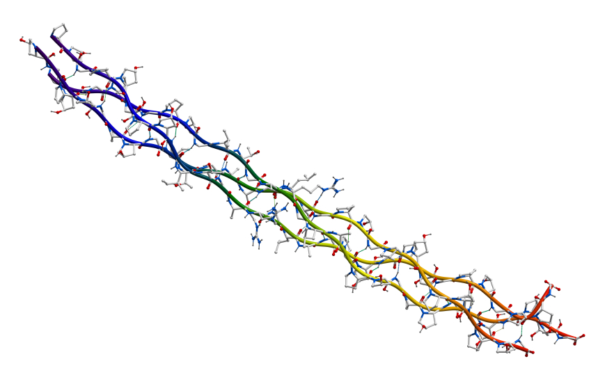 Human collagen molecule (segment)
